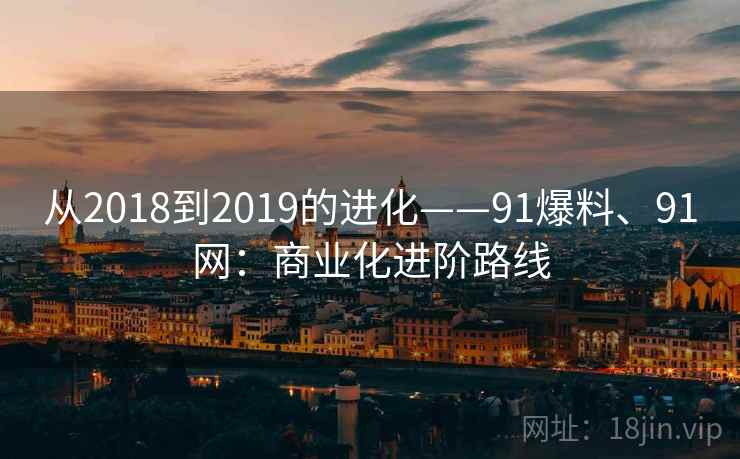 从2018到2019的进化——91爆料、91网：商业化进阶路线