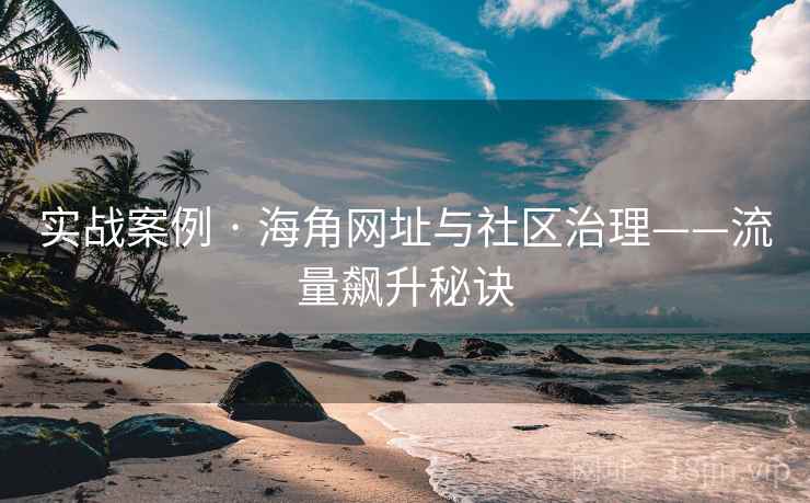 实战案例 · 海角网址与社区治理——流量飙升秘诀 实战案例 · 海角网址与社区治理——流量飙升秘诀