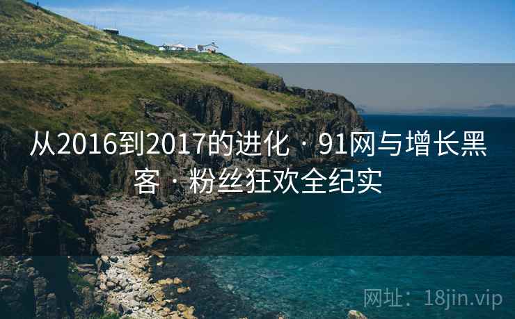 从2016到2017的进化 · 91网与增长黑客 · 粉丝狂欢全纪实 从2016到2017的进化 · 91网与增长黑客 · 粉丝狂欢全纪实