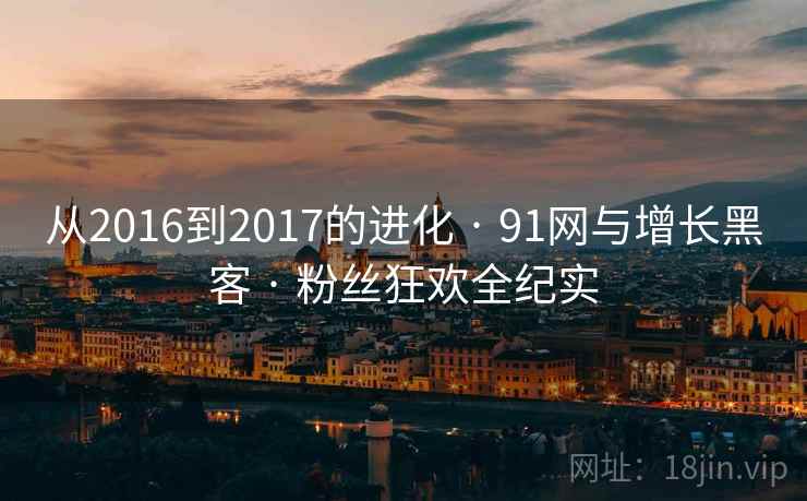 从2016到2017的进化 · 91网与增长黑客 · 粉丝狂欢全纪实 从2016到2017的进化 · 91网与增长黑客 · 粉丝狂欢全纪实