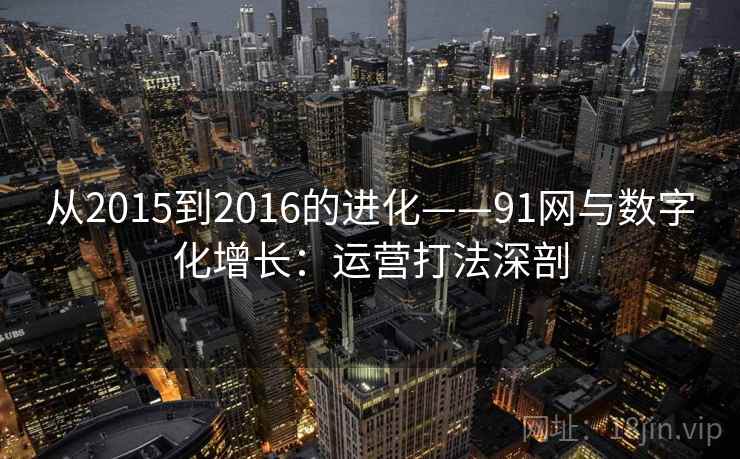 从2015到2016的进化——91网与数字化增长：运营打法深剖