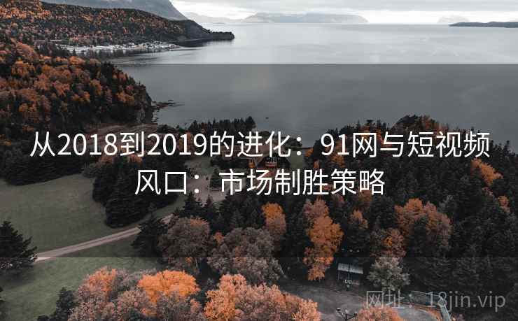 从2018到2019的进化：91网与短视频风口：市场制胜策略