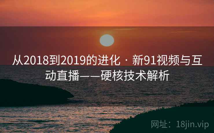 从2018到2019的进化 · 新91视频与互动直播——硬核技术解析 从2018到2019的进化 · 新91视频与互动直播——硬核技术解析