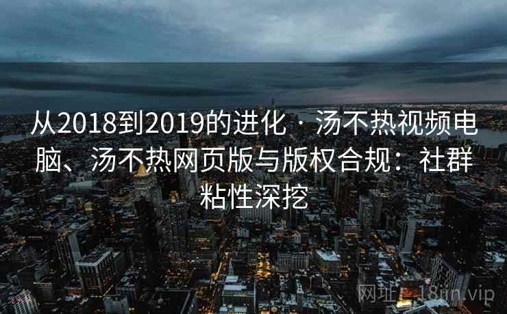 从2018到2019的进化 · 汤不热视频电脑、汤不热网页版与版权合规：社群粘性深挖
