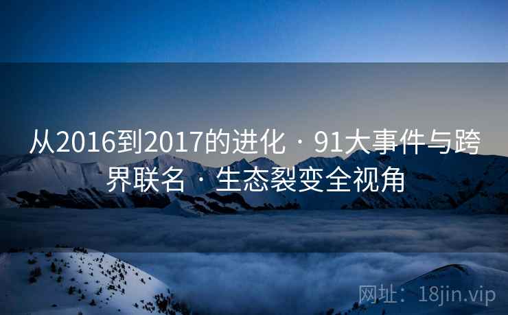 从2016到2017的进化 · 91大事件与跨界联名 · 生态裂变全视角