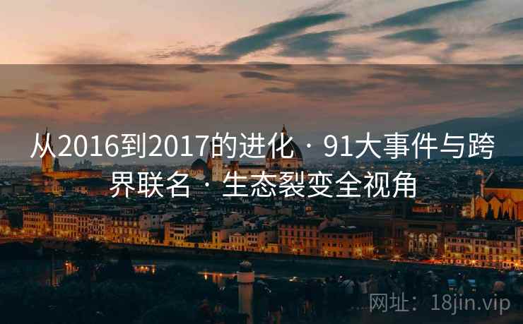 从2016到2017的进化 · 91大事件与跨界联名 · 生态裂变全视角