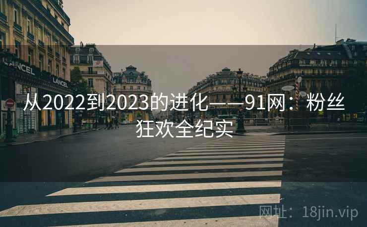 从2022到2023的进化——91网：粉丝狂欢全纪实