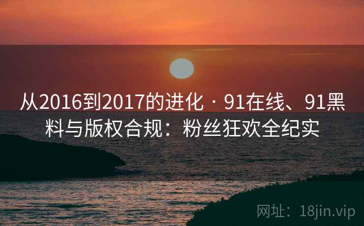 从2016到2017的进化 · 91在线、91黑料与版权合规:粉丝狂欢全纪实 从2016到2017的进化 · 91在线、91黑料与版权合规:粉丝狂欢全纪实