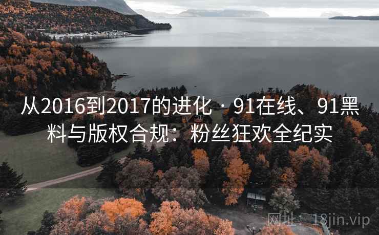 从2016到2017的进化 · 91在线、91黑料与版权合规:粉丝狂欢全纪实 从2016到2017的进化 · 91在线、91黑料与版权合规:粉丝狂欢全纪实