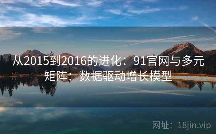从2015到2016的进化:91官网与多元矩阵:数据驱动增长模型 从2015到2016的进化:91官网与多元矩阵:数据驱动增长模型